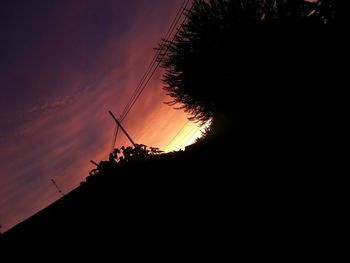 Silhouette of trees at sunset