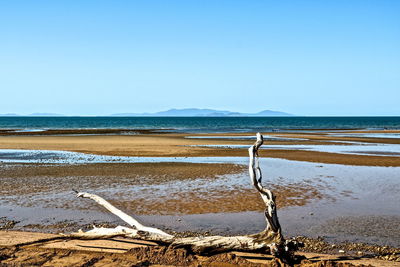 Scenic view of beach against clear sky