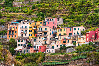 Buildings in a town