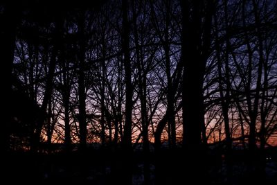 Silhouette trees in forest against sky