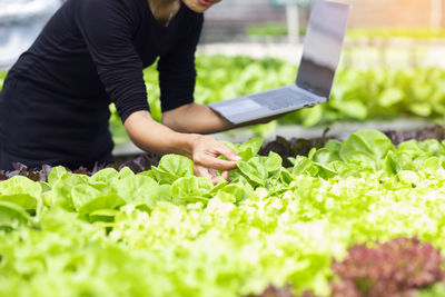 Midsection of man having food in plant