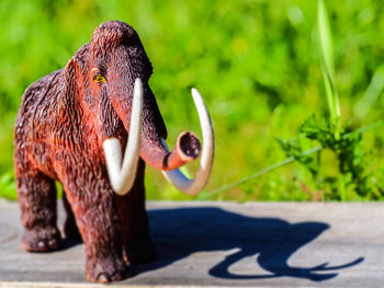 Close-up of elephant toy outdoors