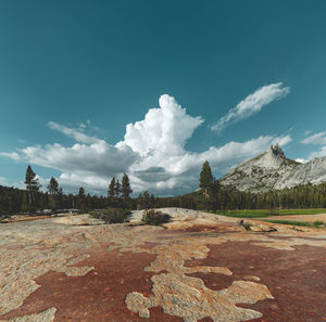 Scenic view of landscape against blue sky