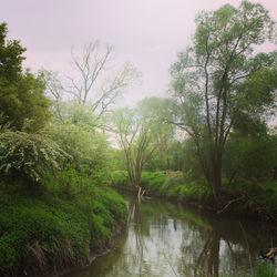 Scenic view of lake in forest against sky