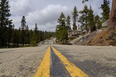 Surface level of empty road against trees