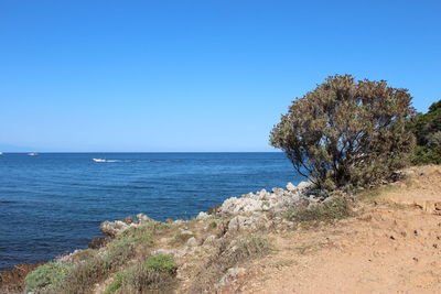 Scenic view of sea against clear sky