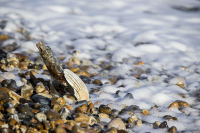 Close up of rocks in water