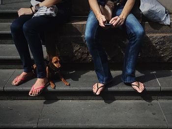 Dog behind woman leg relaxing on seat