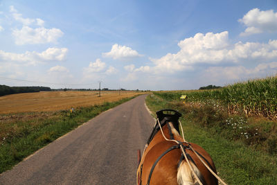 Horse cart on road amidst field against sky