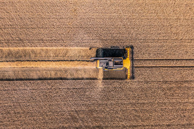 Harvest time combine harvester