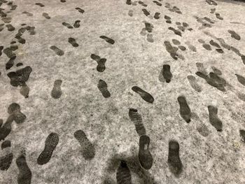 High angle view of footprints on rock