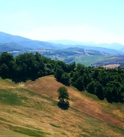 High angle view of landscape