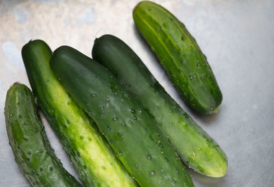 Close-up high angle view of cucumbers