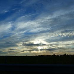 Low angle view of silhouette trees against sky