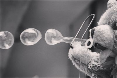 Close-up of bubbles and teddy bear