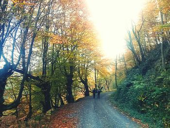 Road amidst trees against sky during sunset