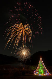 Firework display at night