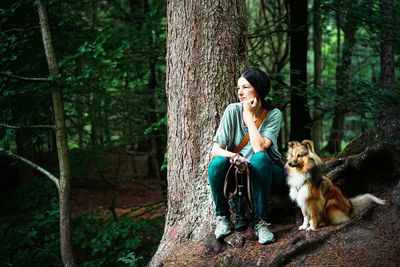 Full length of a dog sitting on tree trunk in forest