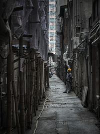 Rear view of people walking in city