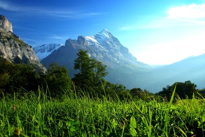 Scenic view of landscape and mountains against sky