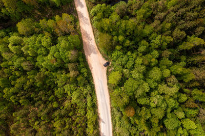 Top down view of country road with car in the forest at summer, drone shot