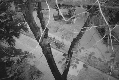 Full frame shot of spider web