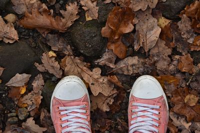 Low section of person standing on maple leaves