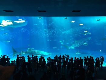 People looking at fishes in aquarium