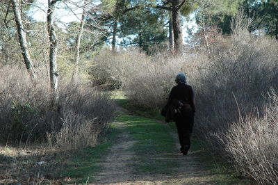 Rear view of people walking on footpath in forest