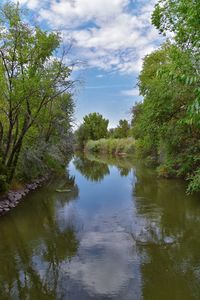 Scenic view of lake by trees against sky