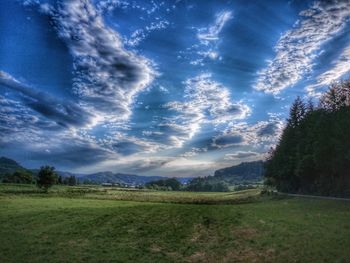 Scenic view of field against sky