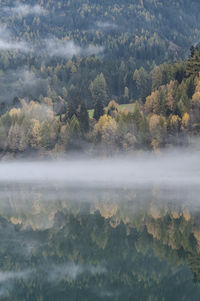 Reflection of trees on calm lake during foggy weather