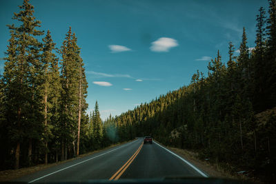 Country road amidst trees against sky