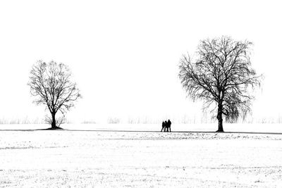 Bare trees on landscape against clear sky