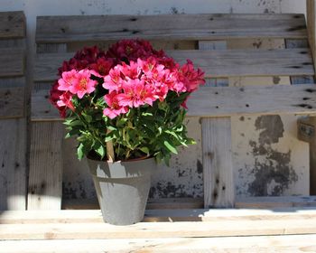 Close-up of flowers on table