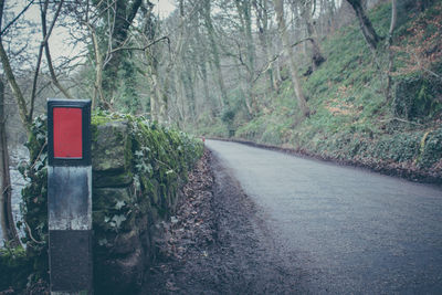 Empty road in forest