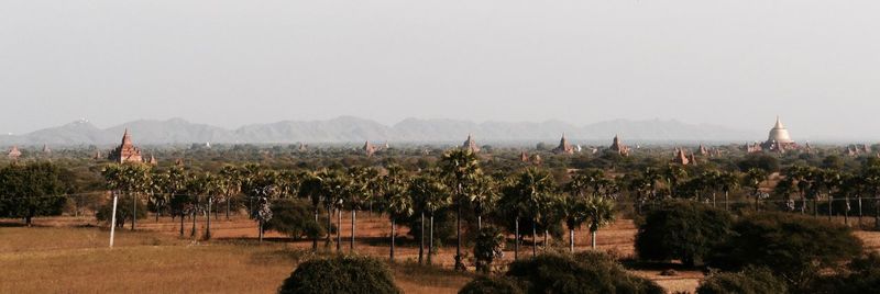 Trees on landscape against clear sky