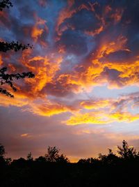 Low angle view of silhouette trees against dramatic sky