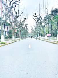 Empty road along bare trees