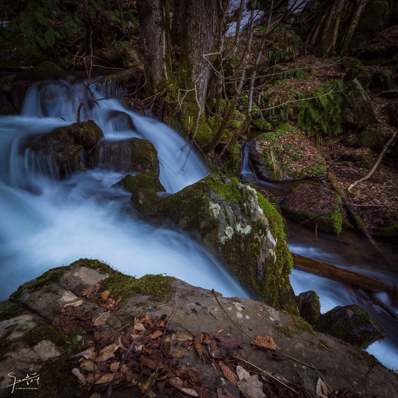 water, rock - object, beauty in nature, scenics, nature, tranquility, tranquil scene, tree, forest, flowing water, river, rock formation, mountain, waterfall, idyllic, non-urban scene, rock, stream, flowing, day