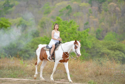 Beautiful asian woman spending a tranquil moment with a horse.pretty asian woman petting horse 