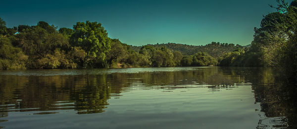 Reflection of trees in calm lake