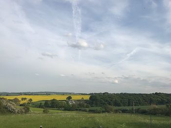 Scenic view of field against sky