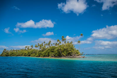 Scenic view of sea against blue sky