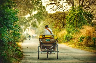 Rear view of man in pedicab on road