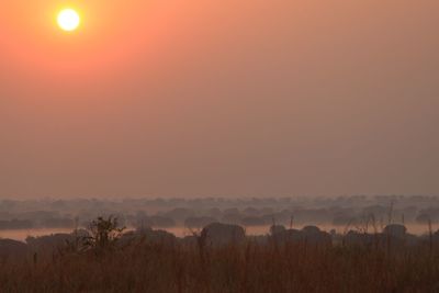 Scenic view of field against sky during sunset