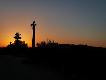 Silhouette palm trees against clear sky