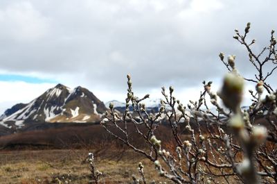 Scenic view of snow covered mountain against sky