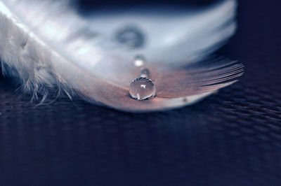 Close-up of water drops on metal
