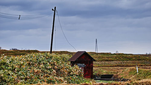 Plants growing on field against sky